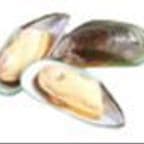 Best Green Mussell in Philadelphia, PA